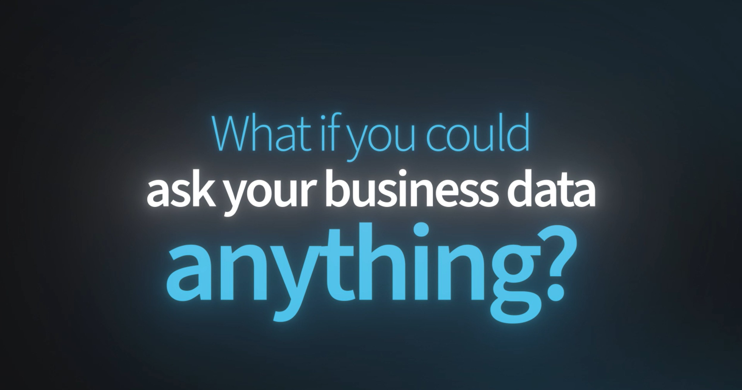 What if you could ask your business data anything?